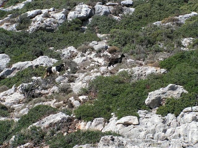ferie kreta 05 120.jpg